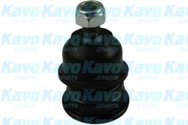 Несущий / направляющий шарнир KAVO PARTS SBJ-5501 Несущий / направляющий шарнир KAVO PARTS SBJ-5501